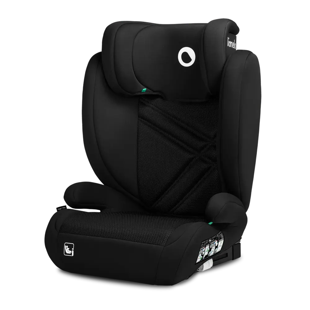 Hugo -size Black Carbon