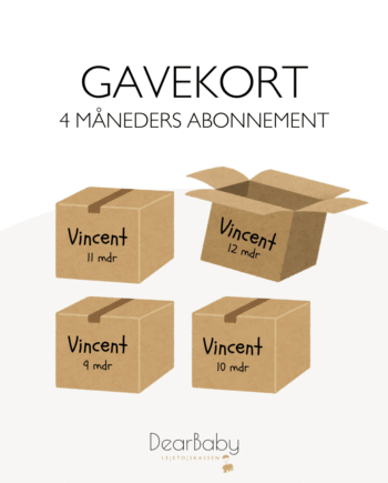 Legetøjskasser   Måneders Abonnement Gavekort