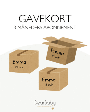 Legetøjskasser   Måneders Abonnement Gavekort