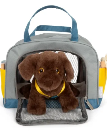 Kæledyr Sæt Hund