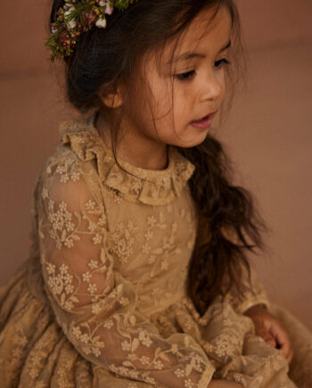 Lil Atelier Roa Ls Tulle Dress Warm Sand 92 Cm