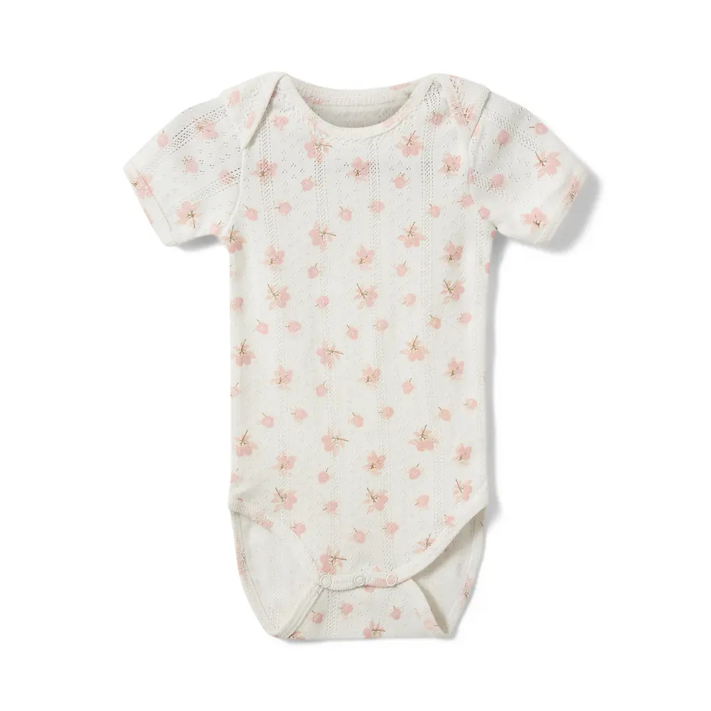 Dicte Body Off White Light Pink 86