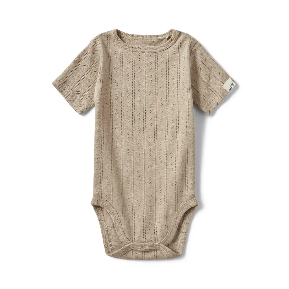 Dictesb Body 7015 62
