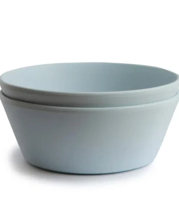 Dinner Bowl Powder Blue