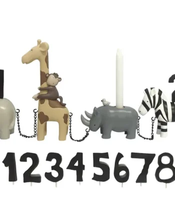 Fødselsdagstog Safari