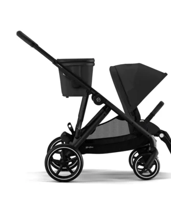 Gazelle   Moon Black