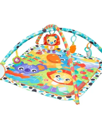 Giggly Garden Musical Gym