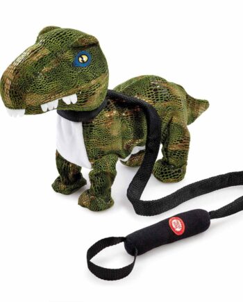 Happy Pets Dance With Me Dinosaur