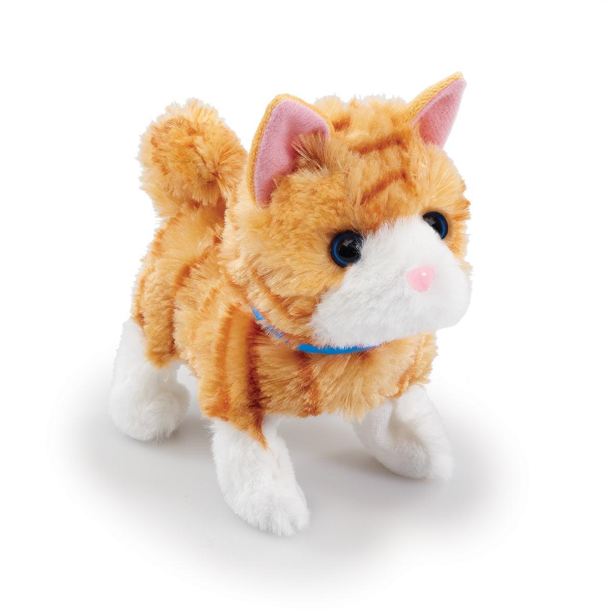 Happy Pets Pretty Little Kitty Brun