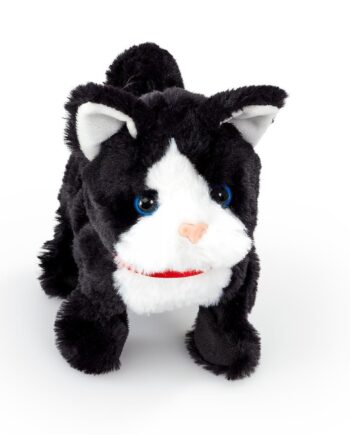 Happy Pets Pretty Little Kitty Sort