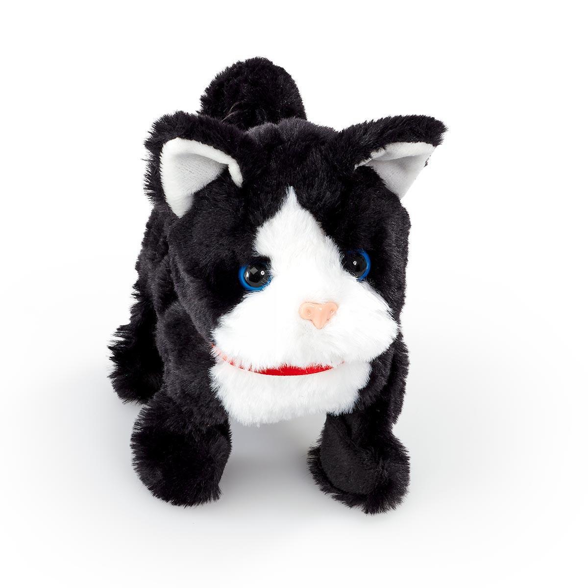 Happy Pets Pretty Little Kitty Sort