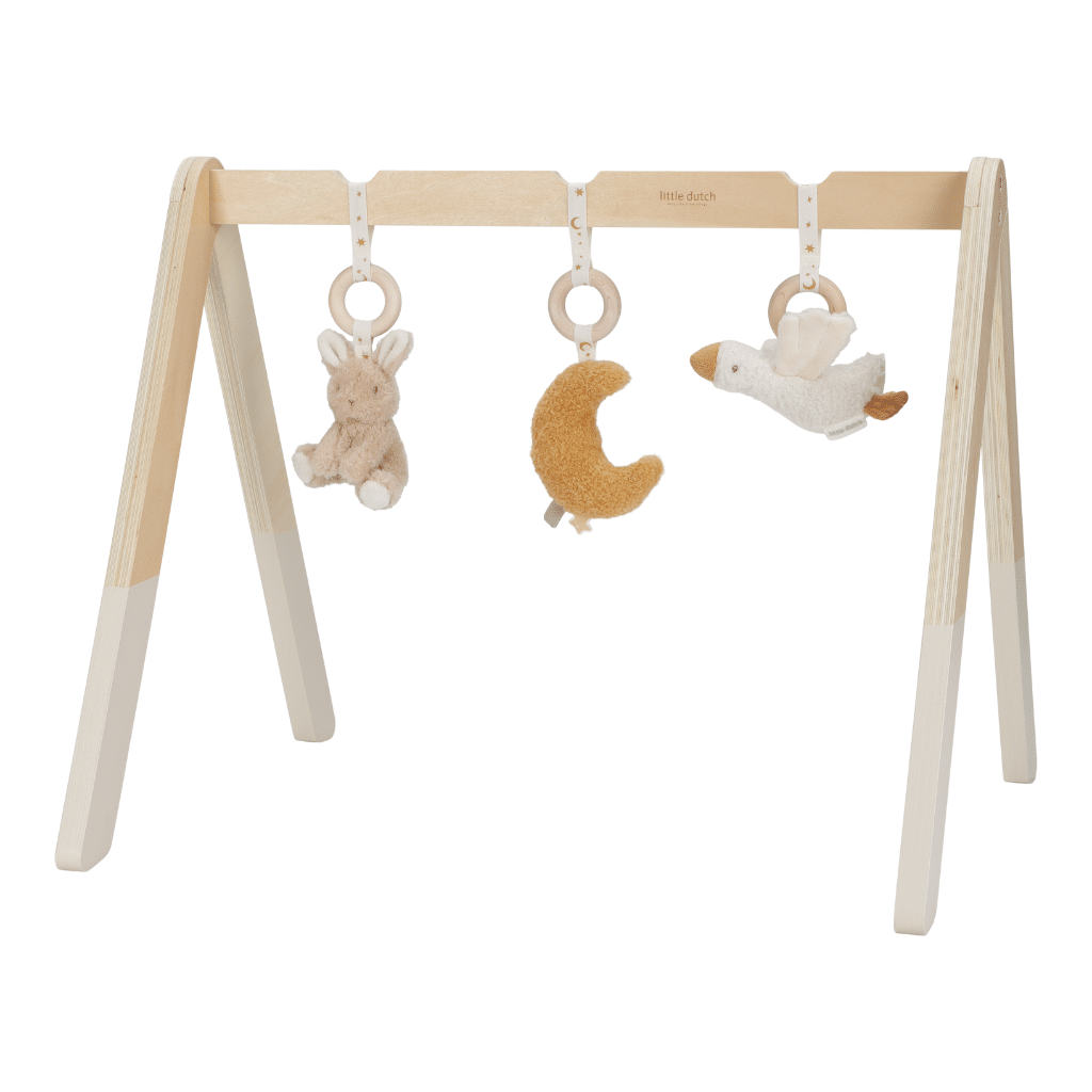 Little Dutch Babygym Newborn