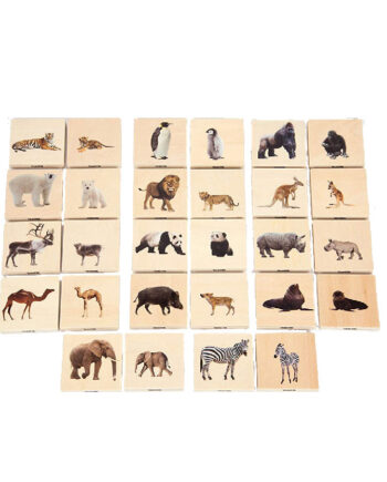 Match Dyrene Wild Animals
