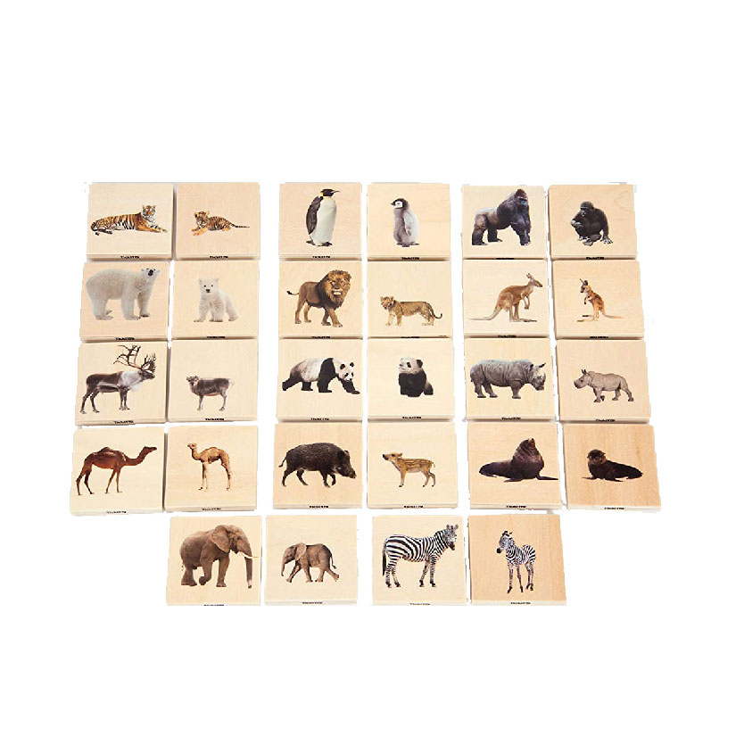 Match Dyrene Wild Animals