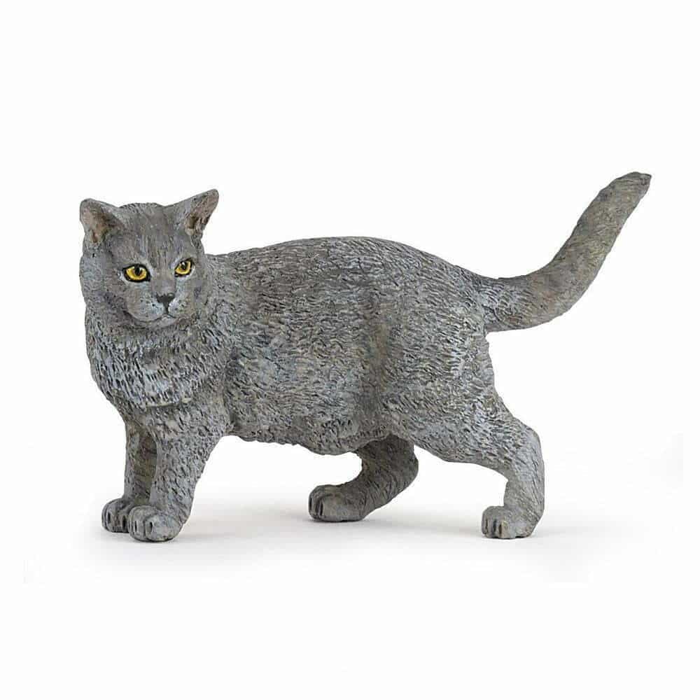 Papo Kat Chartreux