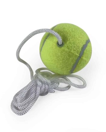 Pole Tennis Extra Ball