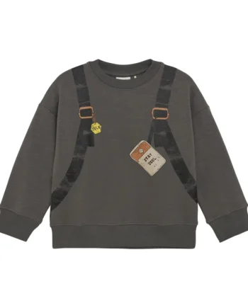 Sweatshirt 1403 110
