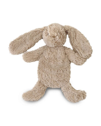 That   Mine Houston Heavy Teddy Small Bunny