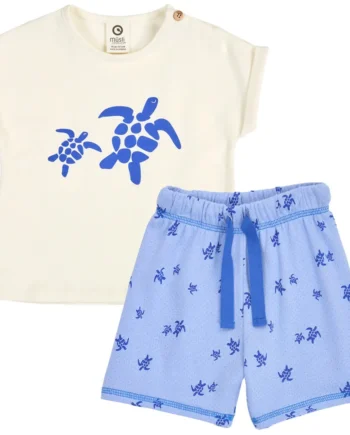 Turtle Sæt Azure Blue  Shell Blue 74