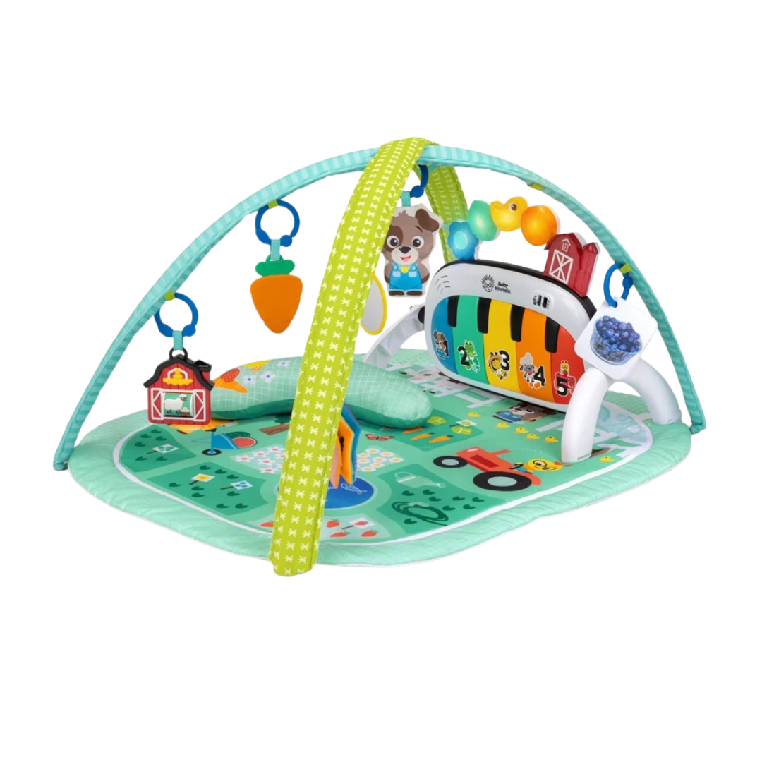 Baby Einstein  -in-  Musical Meadow Aktivitetstæppe Med Musik