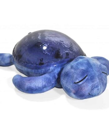 Cloud   Tranquil Turtle Ocean