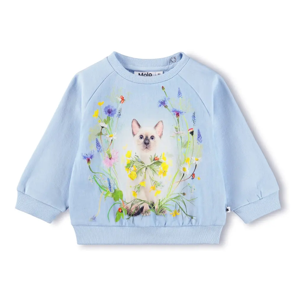 Disc Sweater Meadow Kitten 98