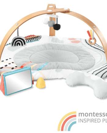 Discoverosity Babygym Skip Hop