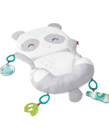 Fisher Price All In One Panda Playmat