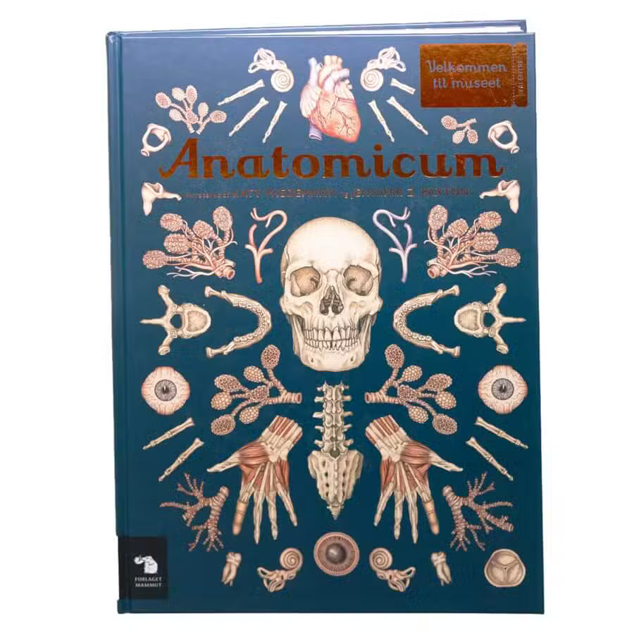 Forlaget Mammut Anatomicum