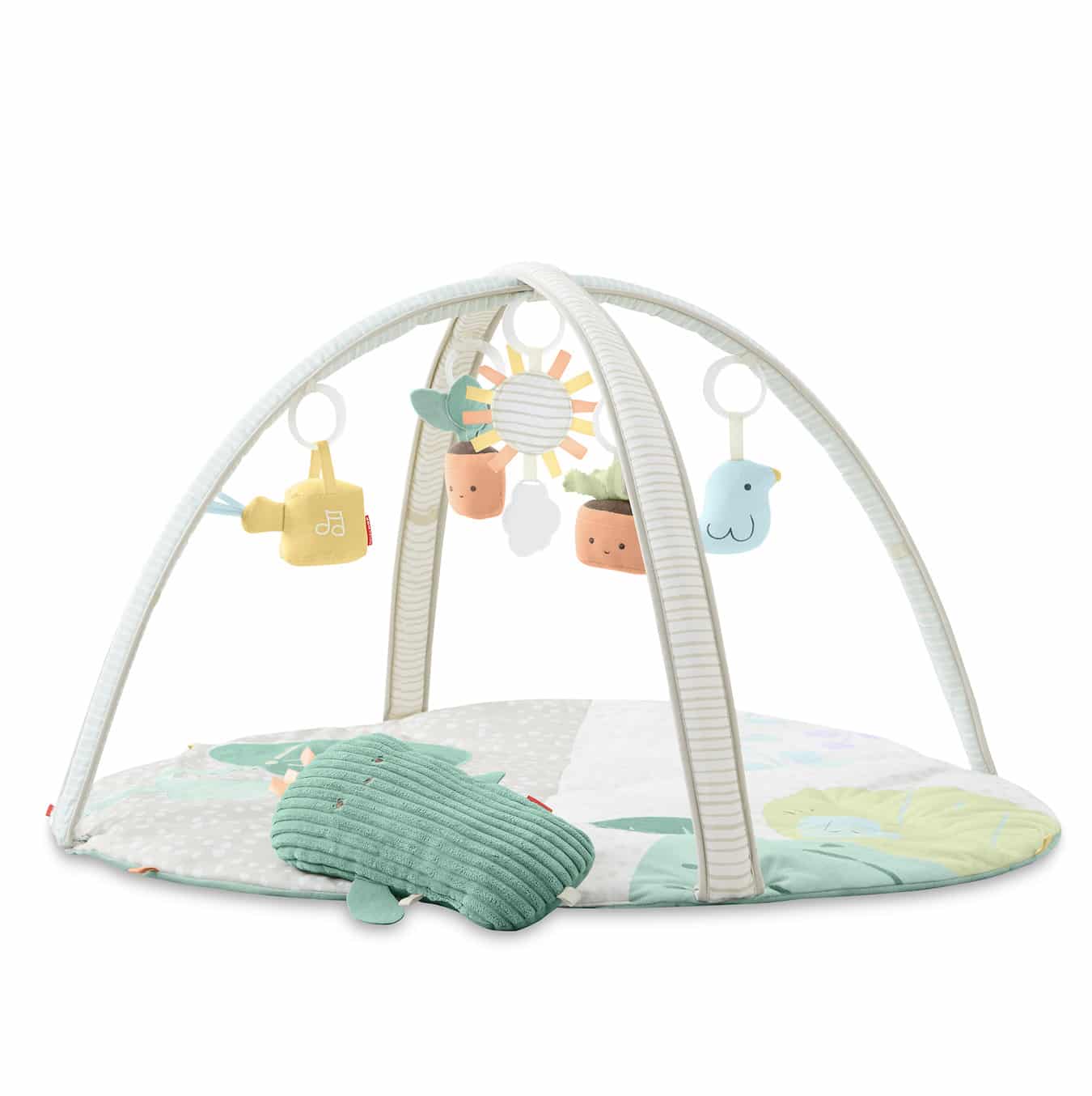 Garden Oasis Babygym