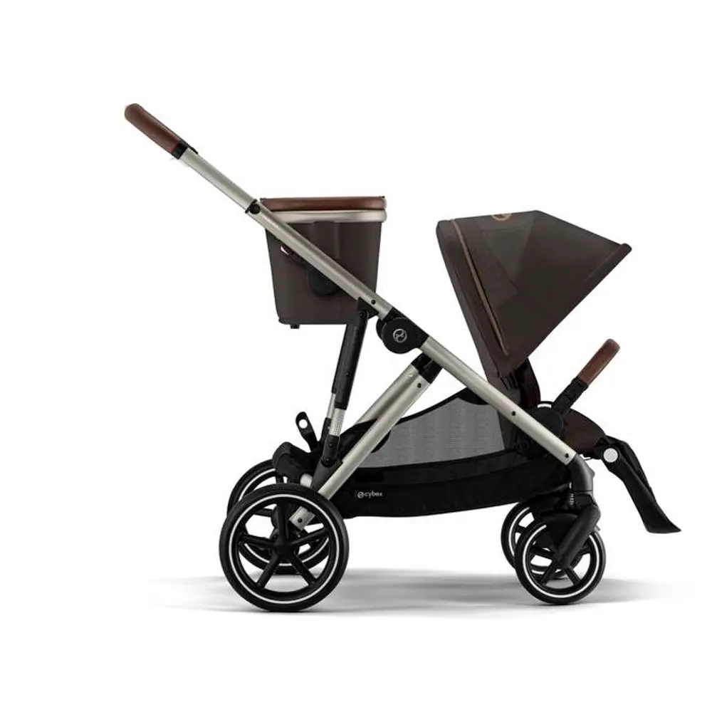 Gazelle   Taupe Chocolate Brown