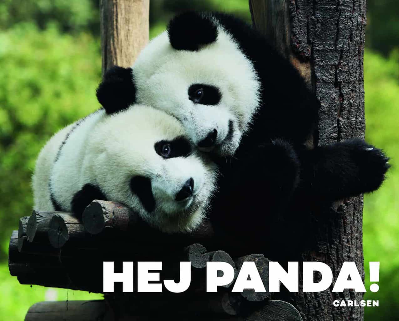 Hej Panda
