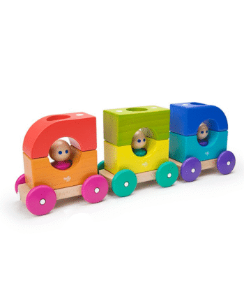 Magnetic Tram Tegu
