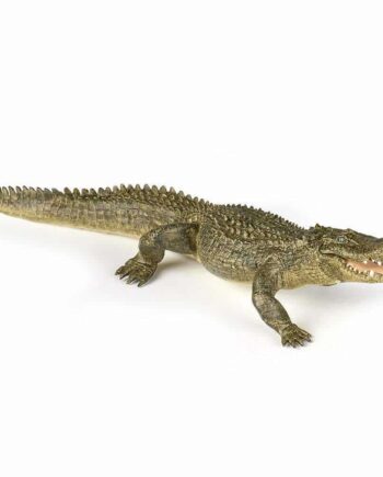 Papo Alligator