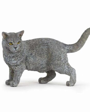 Papo Kat Chartreux