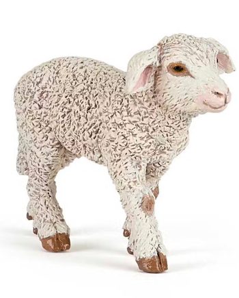 Papo Merino Lam
