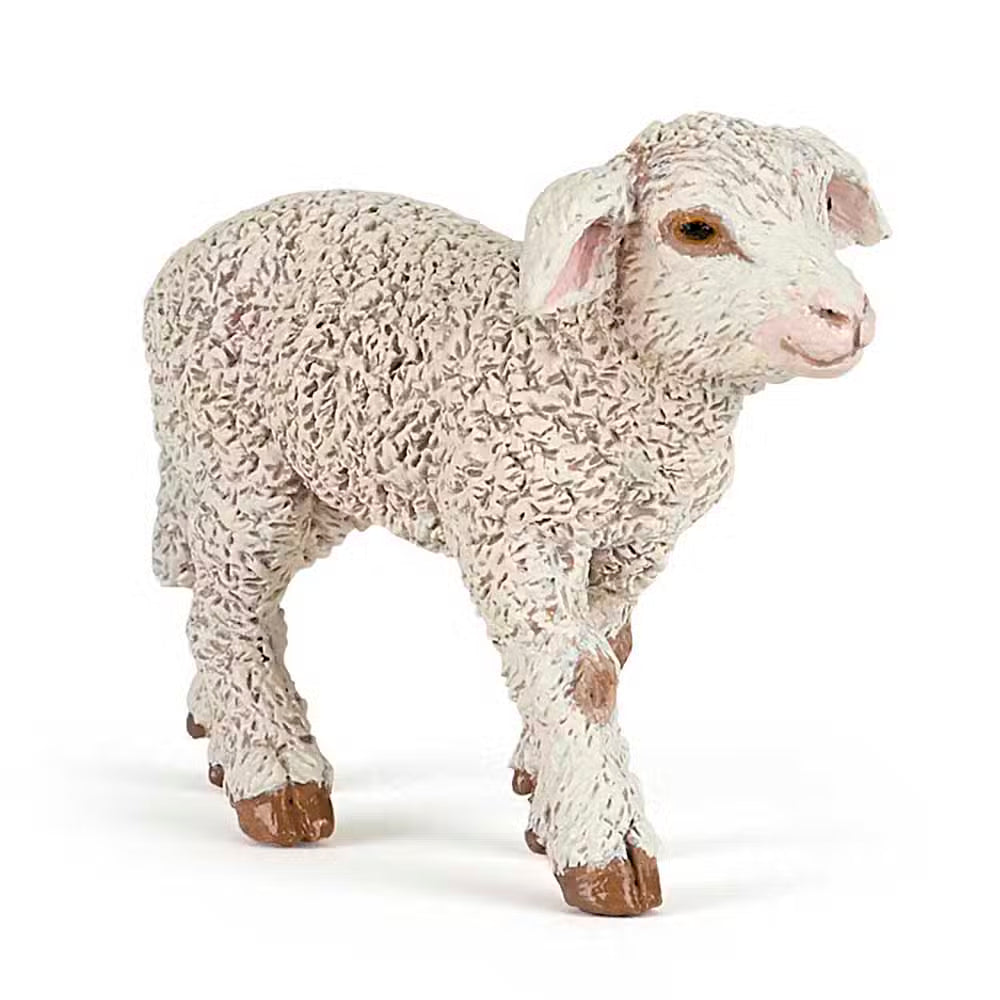 Papo Merino Lam
