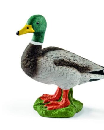 Schleich And
