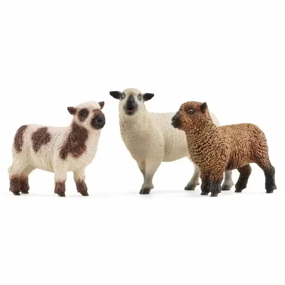 Schleich Dyr Får   Pak