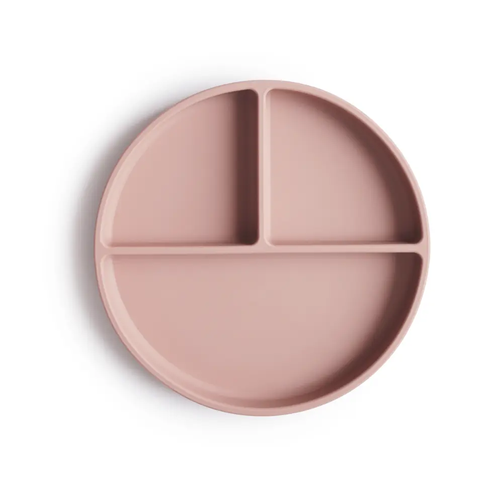 Silicone Plate Blush