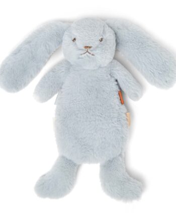 That   Mine Houston Heavy Teddy Mini Blue