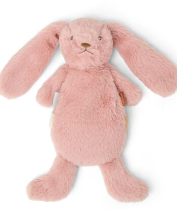 That   Mine Houston Heavy Teddy Mini Rose