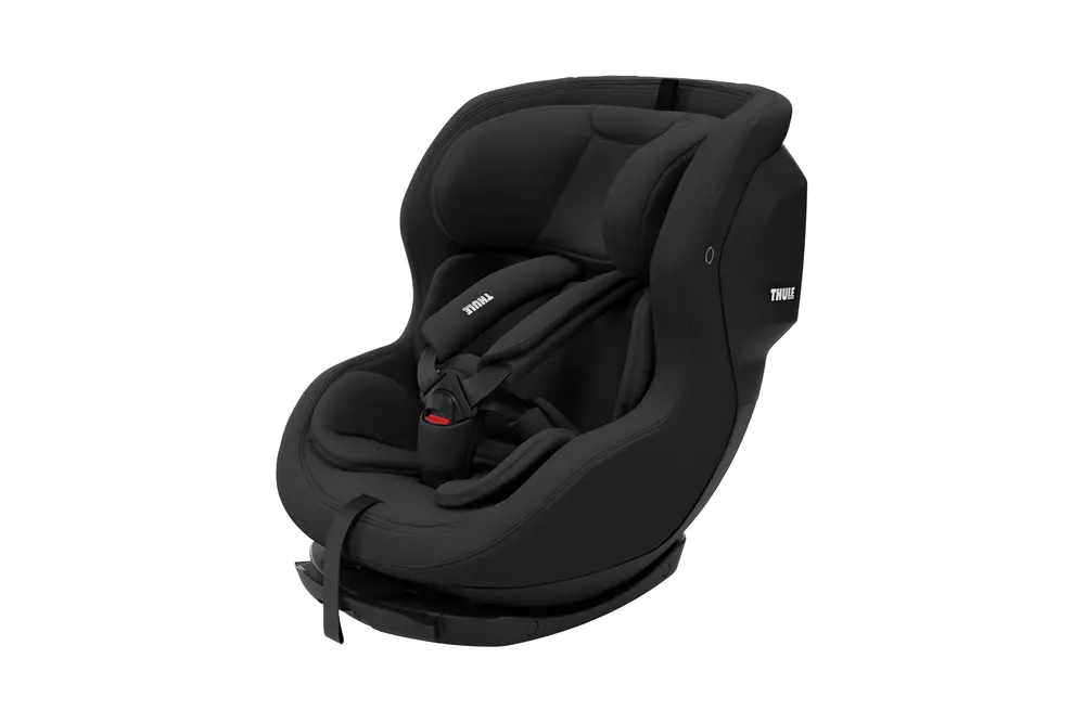 Elm Black