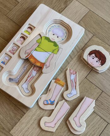 Anatomy Puzzle Dreng Small Foot