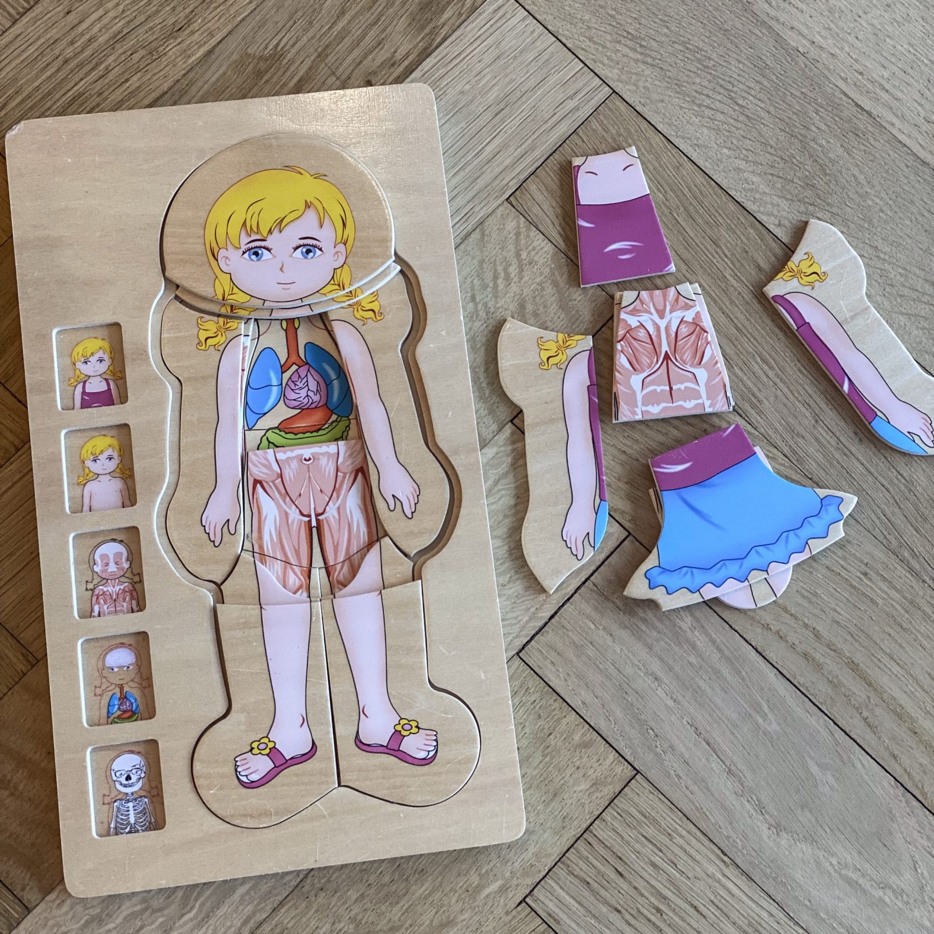 Anatomy Puzzle Pige Small Foot