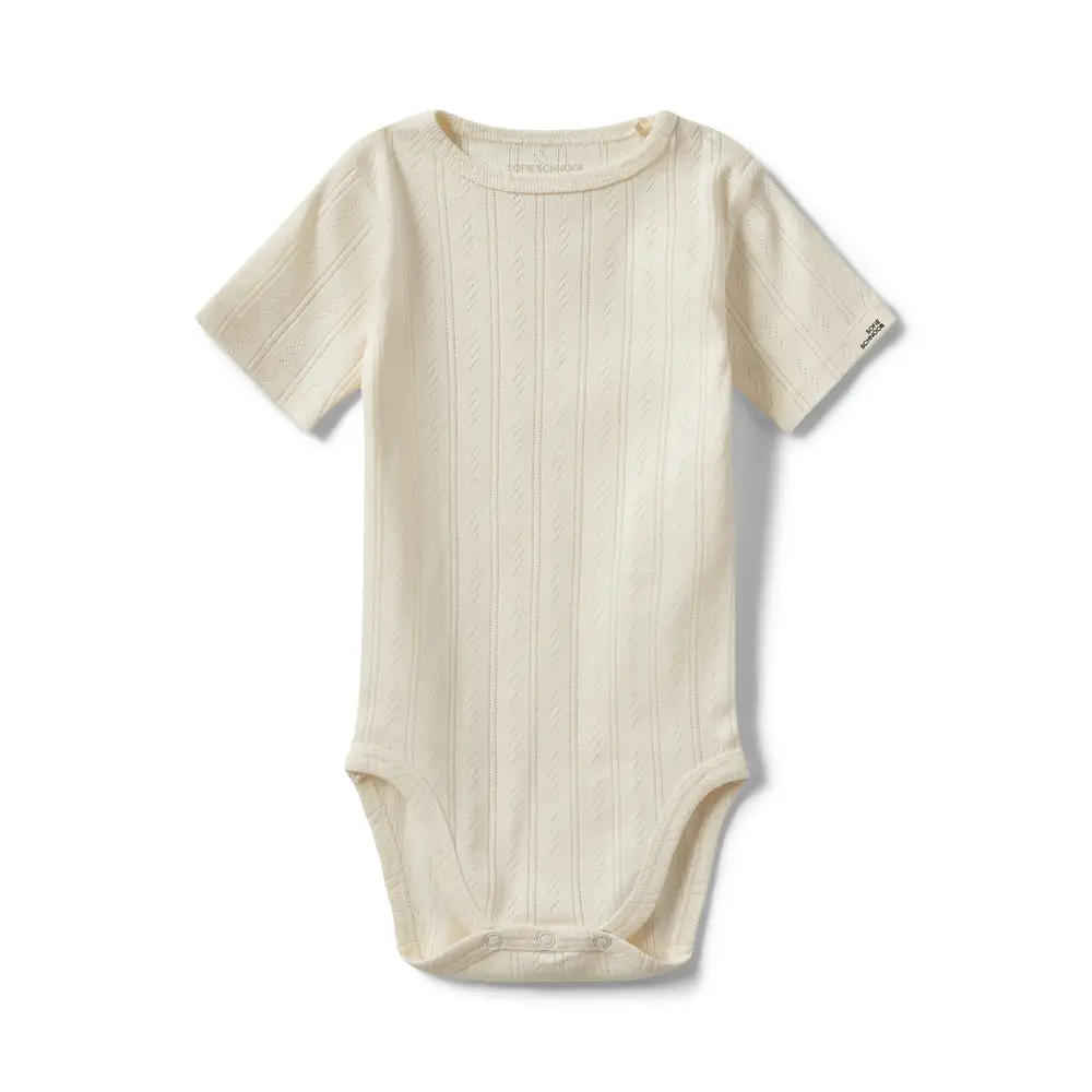 Dictesb Body 0109 68