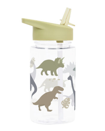 Drink Bottle Dinosaurs