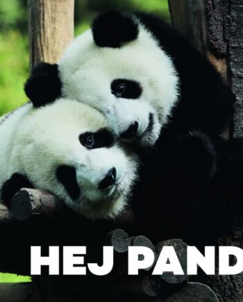 Hej Panda