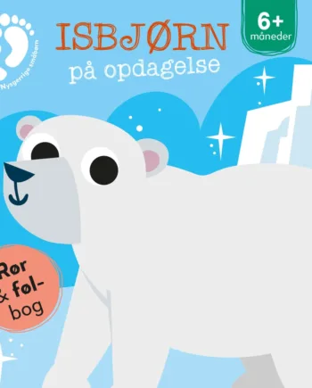 Isbjørn På Opdagelse