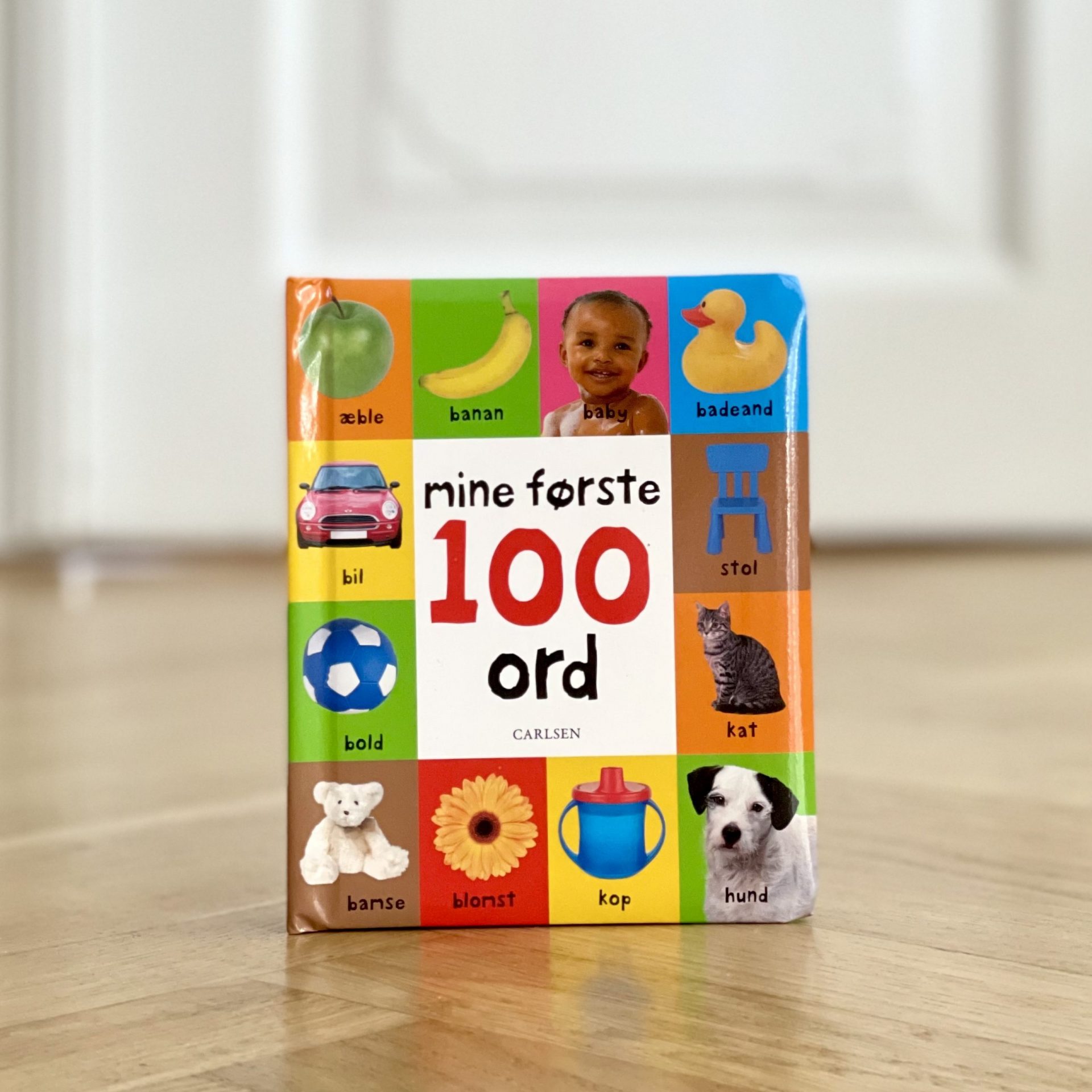 Mine Første 100 Ord